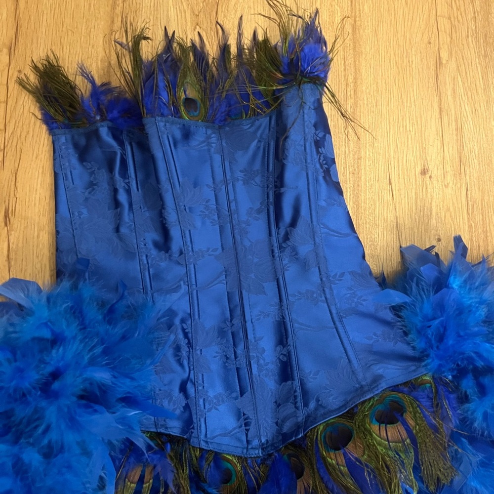 Royal Blue Peacock Feather Costume w/Feather Train - Picture 11 of 14